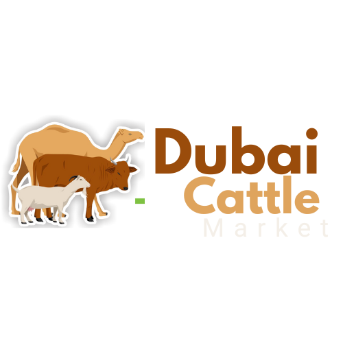 Dubai Cattle Market Logo